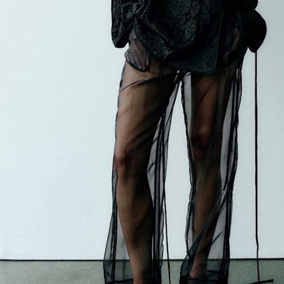 Zara Pants - Zara Black Sheer Overlay Trousers